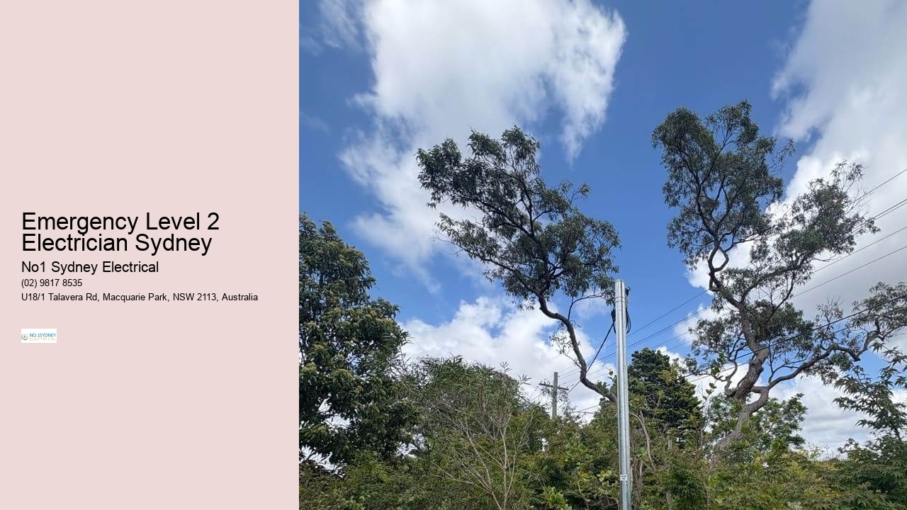 Emergency Level 2 Electrician Sydney