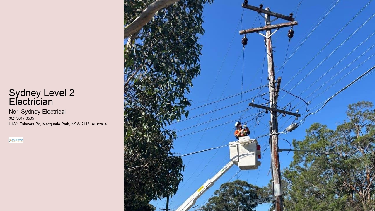 Sydney Level 2 Electrician