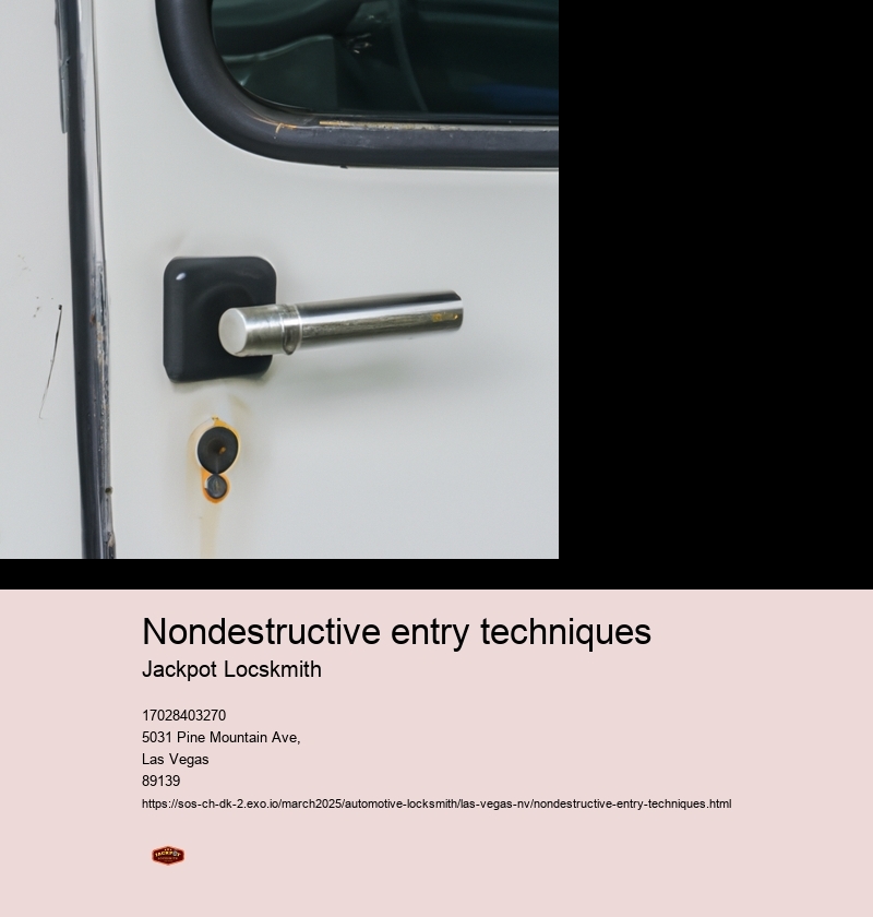 Scope of nondestructive entry techniques