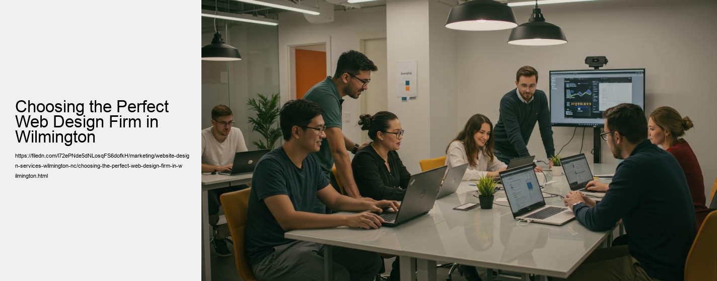 Choosing the Perfect Web Design Firm in Wilmington