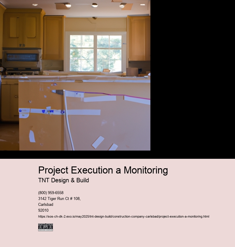 Project Execution a Monitoring