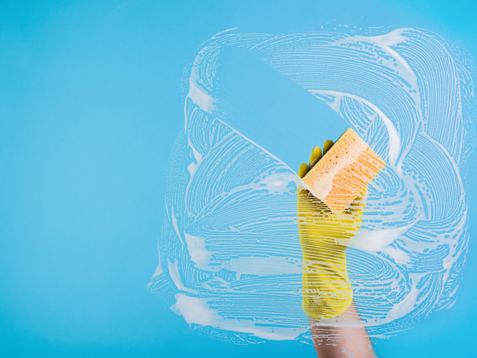 Quality Cleaning for Essex County Homes