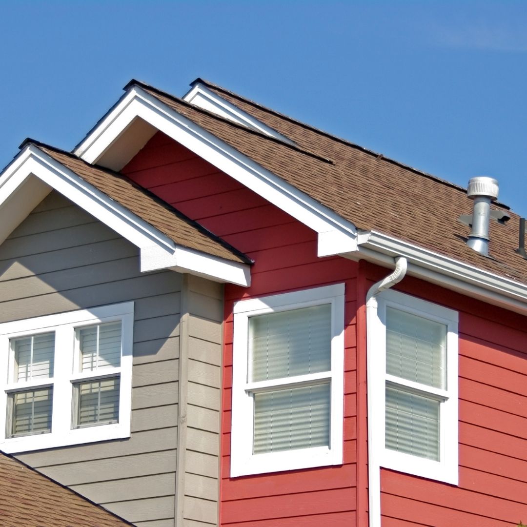 Protect Your Roof from Moss and Algae Growth