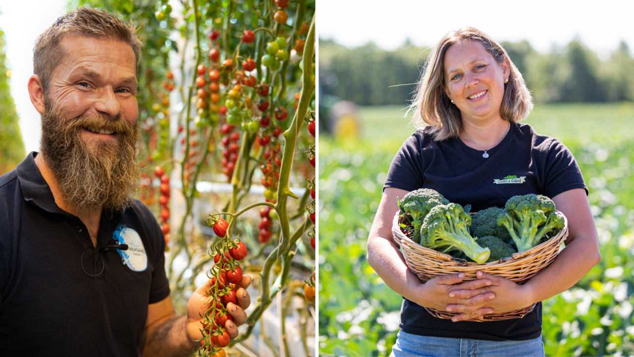 BAMA Storkjøkken inviterer