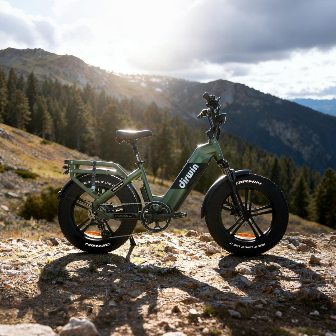 Dirwin eBikes for Heavy Payloads
