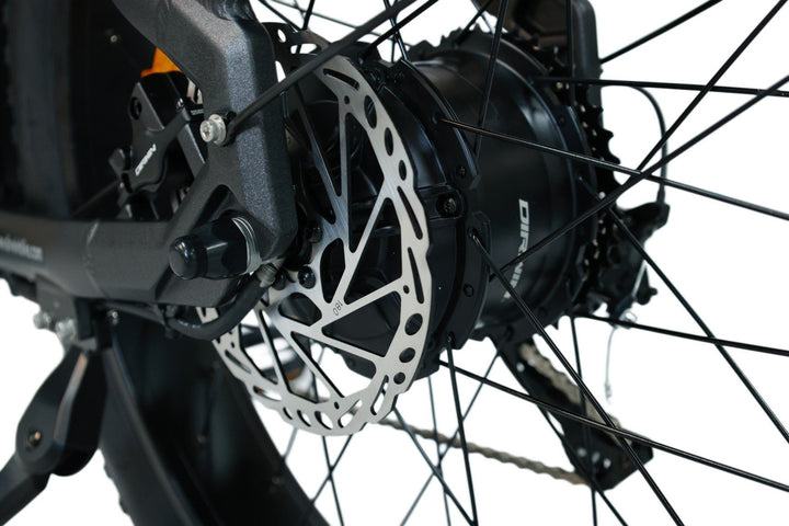 Which Pioneer eBike offers USB charging?