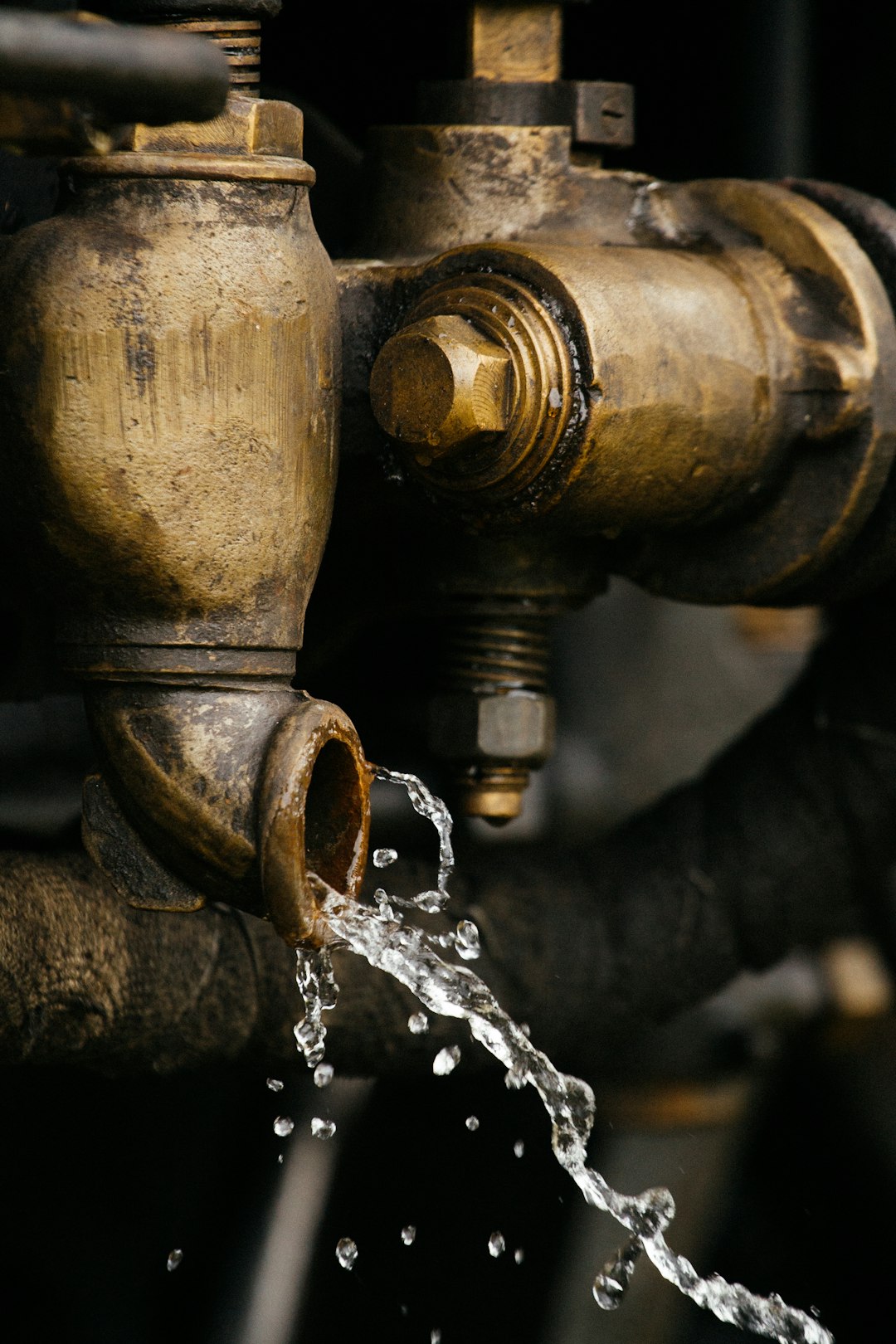 The Role of Licensed Plumbing Professionals