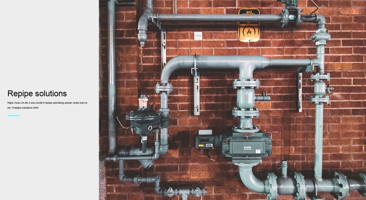 repipe solutions