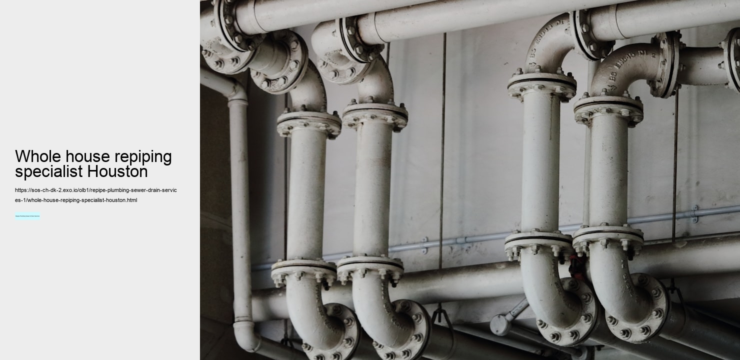 whole house repiping specialist Houston