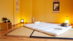 Kin Shiatsu, practice in Lausanne