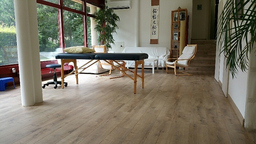 Centre d'Etudes et de Formation en Reiki, practice in Carouge