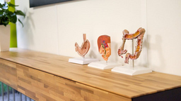 Gastrozentrum Aarau, cabinet médical à Aarau