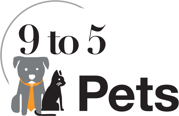 img/9to5-logo.png