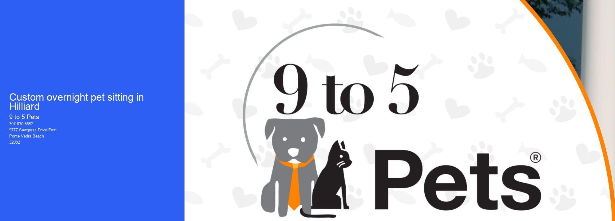 Custom overnight pet sitting in Hilliard