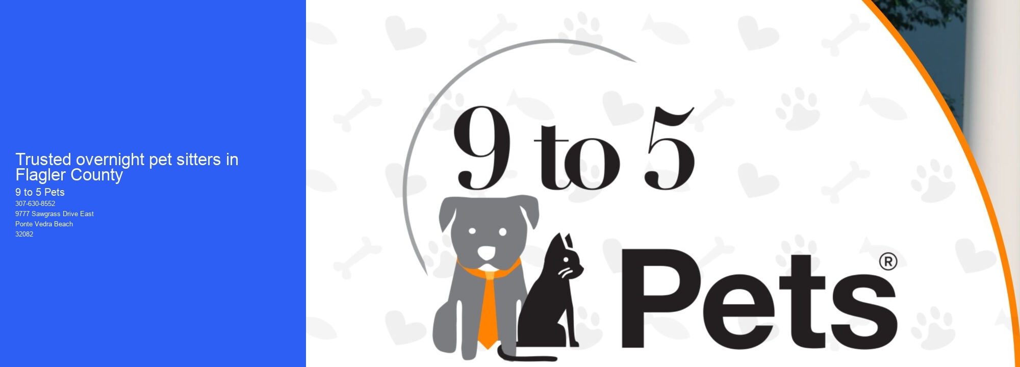 Trusted overnight pet sitters in Flagler County