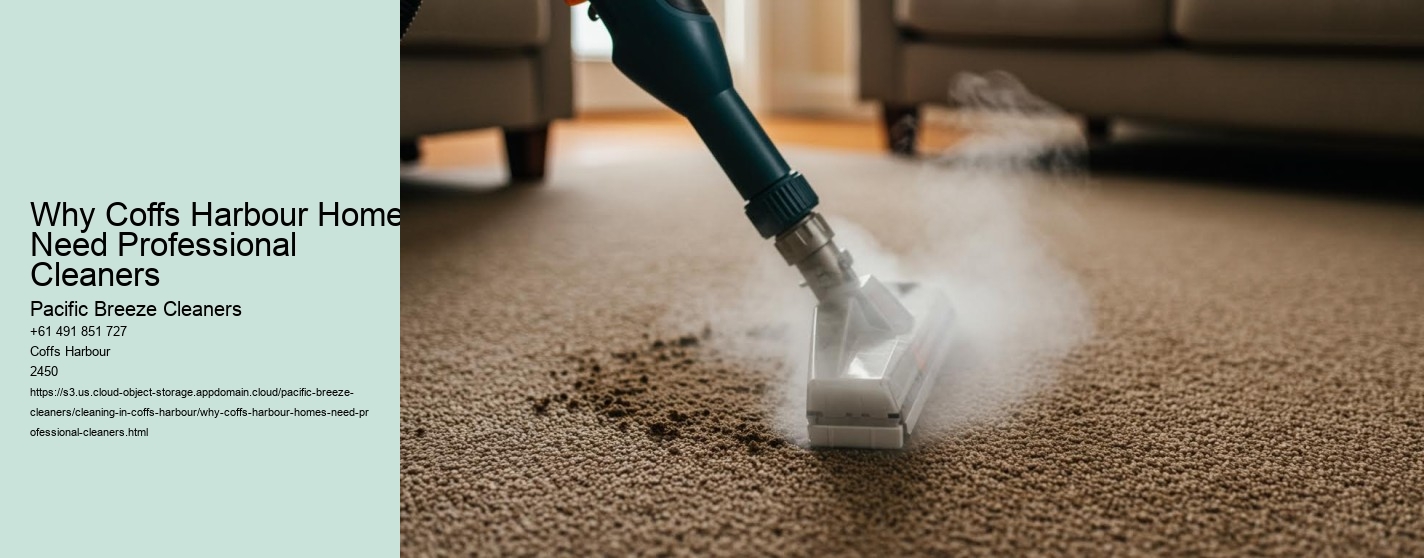 Why Coffs Harbour Homes Need Professional Cleaners