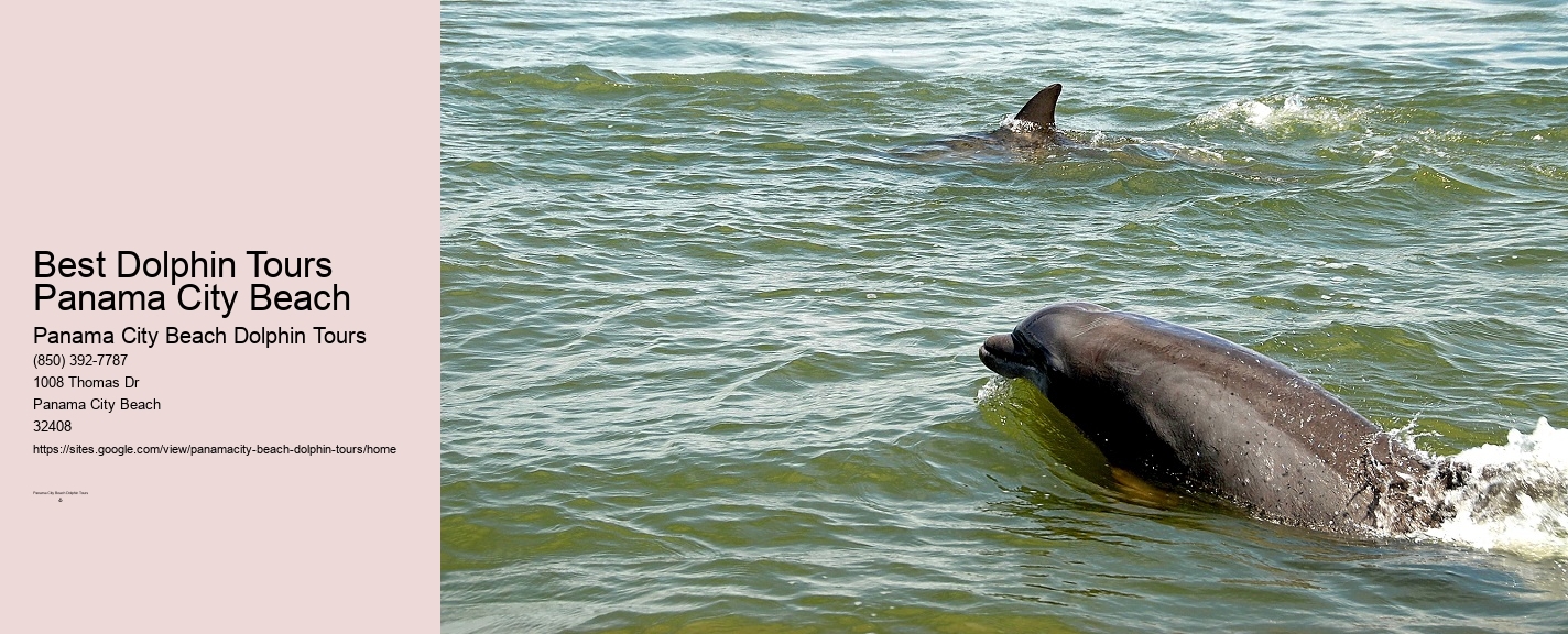 Panama City Beach Dolphin Sunset Cruise