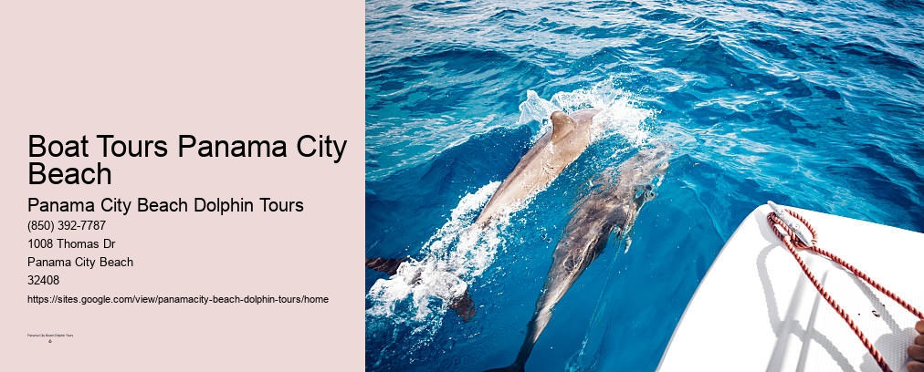 Dolphin Tour Panama Beach
