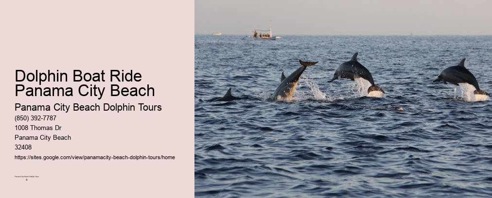 Shell Island Dolphin Tours Panama City Beach