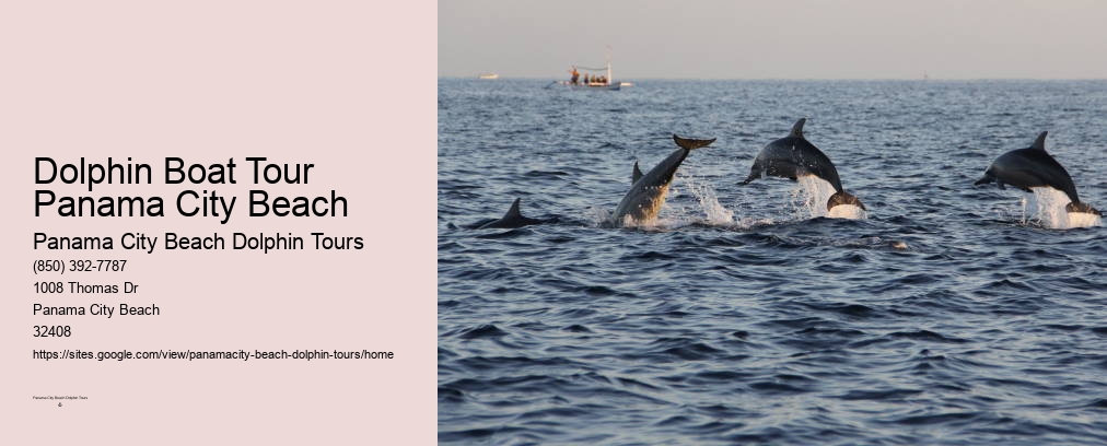 Dolphin Cruises Panama City Beach