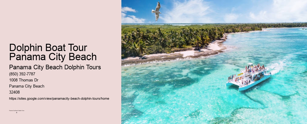 Panama City Beach Dolphin And Snorkeling Tours