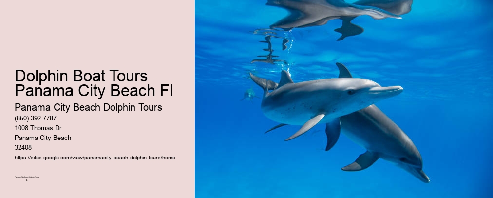 Santa Rosa Beach Dolphin Tours