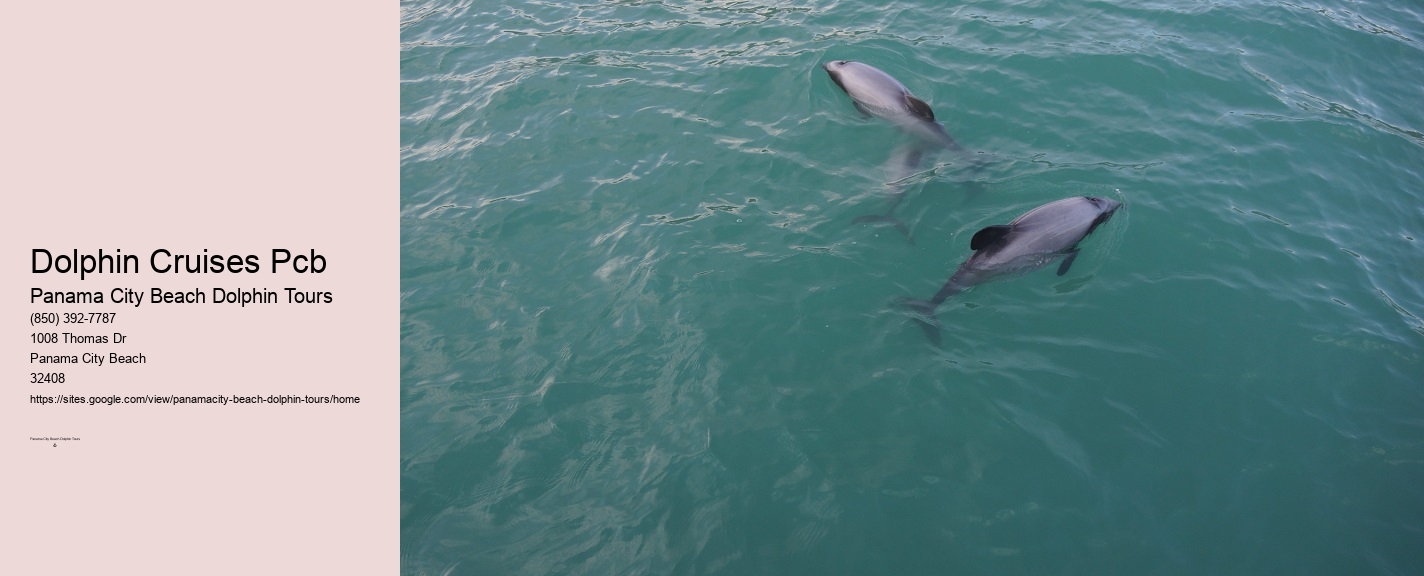 Panama City Beach Dolphin Tours & More
