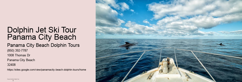 Panama City Beach Dolphin And Snorkeling Tours