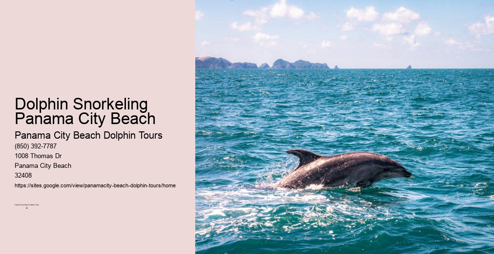 Panama City Dolphin Cruise