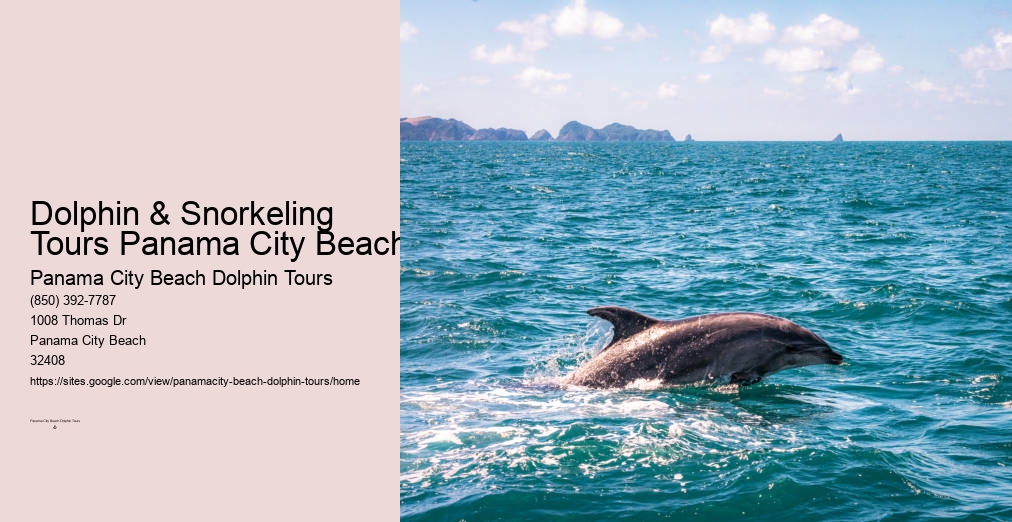 Dolphin Encounters Panama City Beach