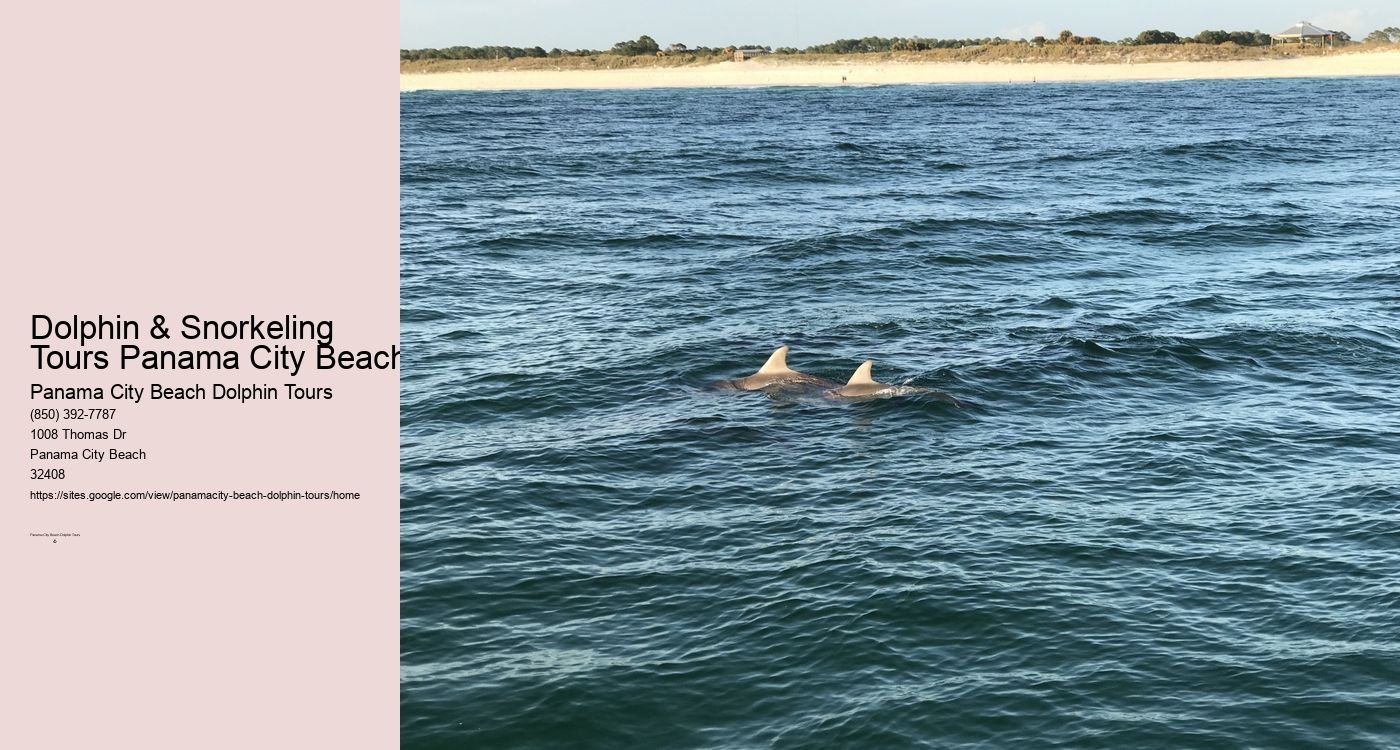 Panama City Beach Private Dolphin Tours