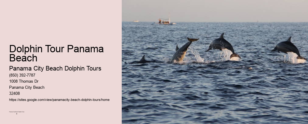 Santa Rosa Beach Dolphin Tours