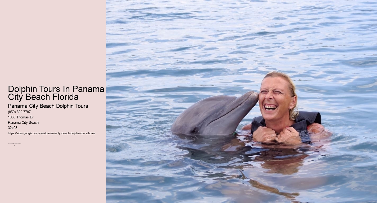 Dolphin Tours In Panama City Beach Florida
