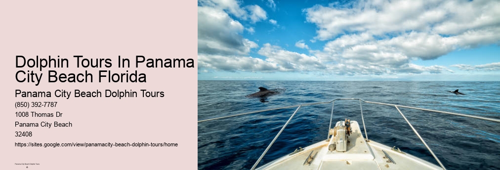 Dolphin Tours Panama City Beach