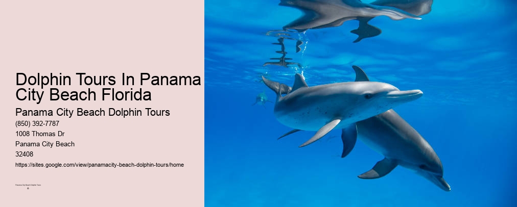 Panama City Dolphin Cruise