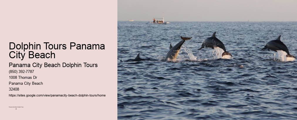 Pcb Dolphin Tours