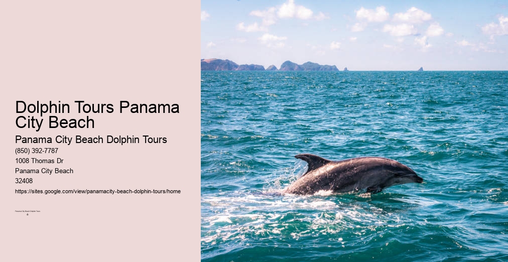 Panama City Beach Dolphin Snorkel