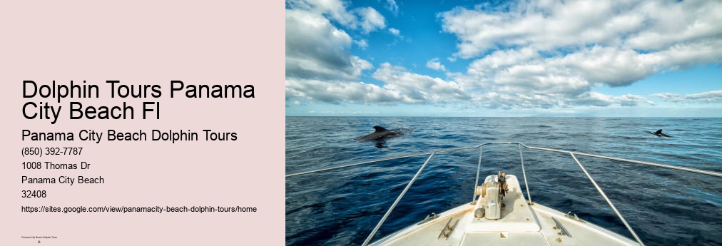 Dolphin & Snorkeling Tours Panama City Beach