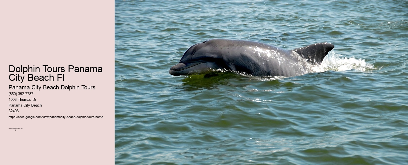 Shell Island Dolphin Cruise Panama City Beach