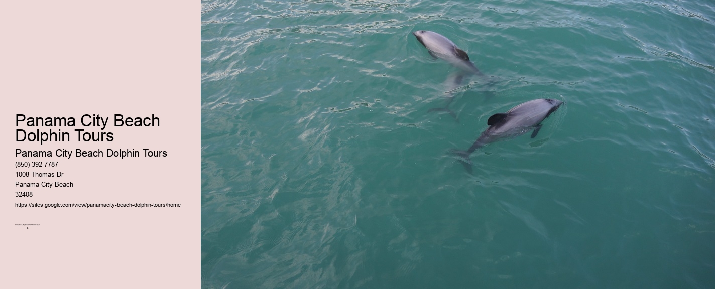 Dolphin Tour Panama City Beach