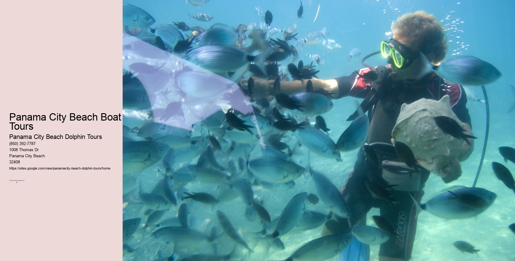 Snorkeling Panama City Beach