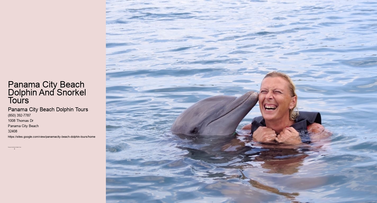 Panama City Beach Dolphin And Snorkel Tours