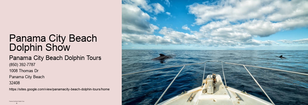 Panama City Beach Dolphin Tours & More