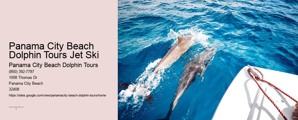 Dolphin Tours Pcb