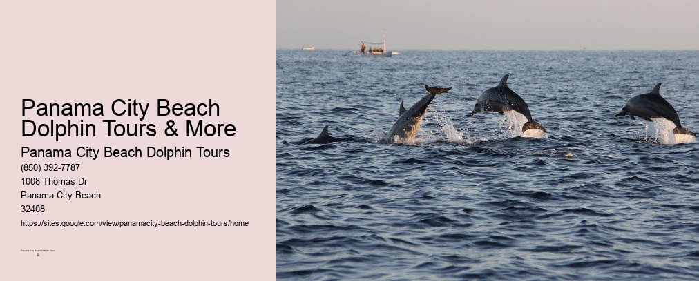 Dolphin & Snorkeling Tours Panama City Beach