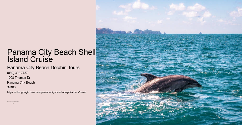 Panama City Beach Dolphin Tours