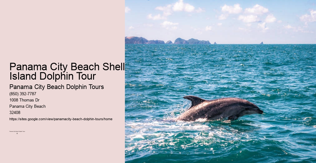 Shell Island Dolphin Cruise Panama City Beach