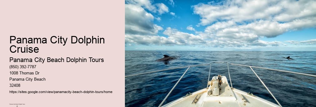 Panama City Beach Dolphin Tour With Snorkeling