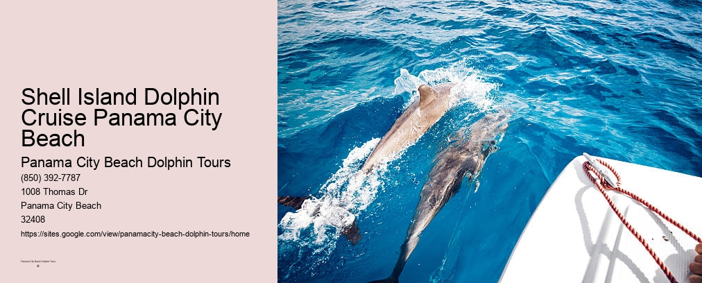 Panama City Beach Dolphin And Snorkel Tours