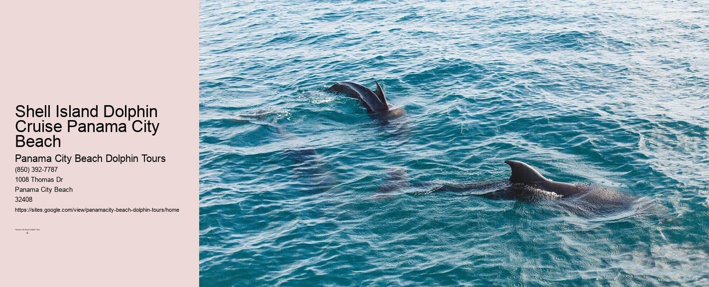 Sunset Dolphin Cruise Panama City Beach